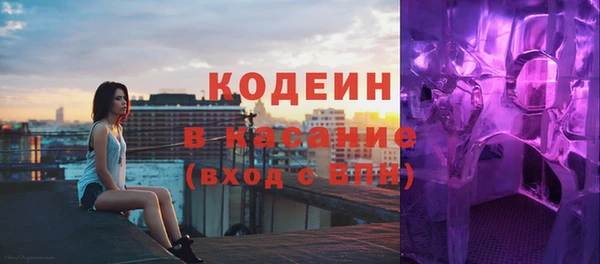 индика Володарск