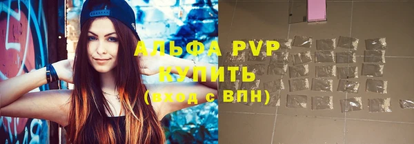 индика Володарск
