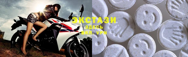 индика Володарск
