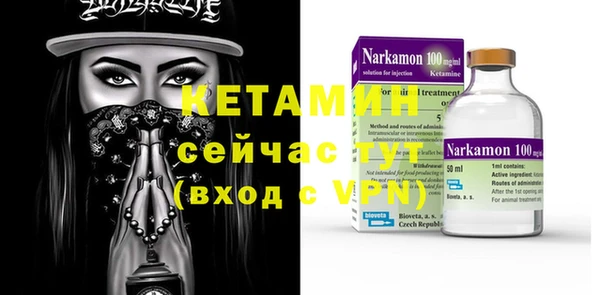 индика Володарск