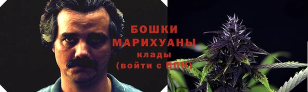 индика Володарск