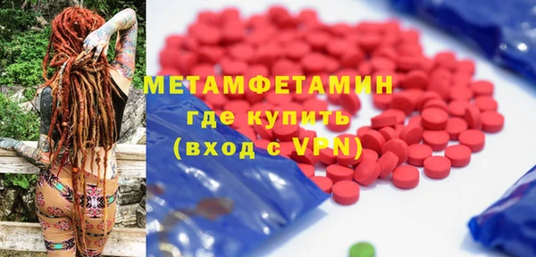 индика Володарск