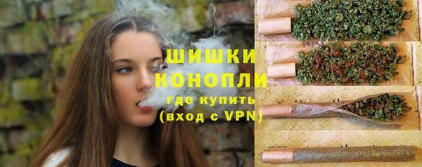СК Волосово