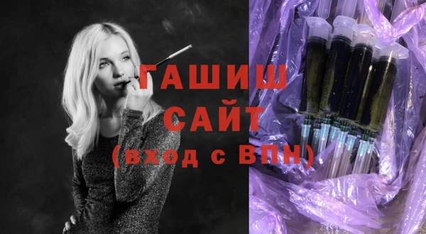 индика Володарск