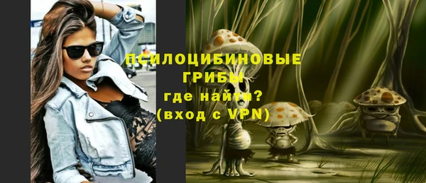 индика Володарск