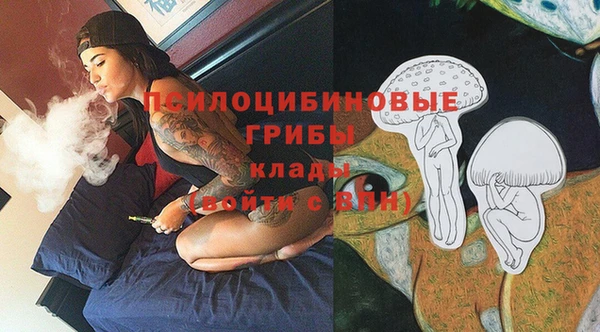 СК Волосово