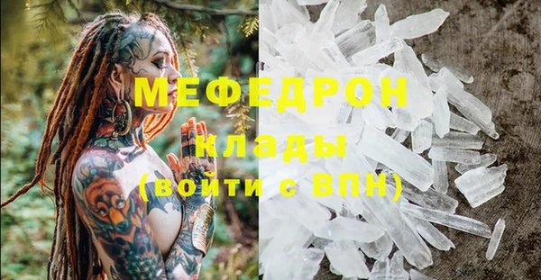 индика Володарск