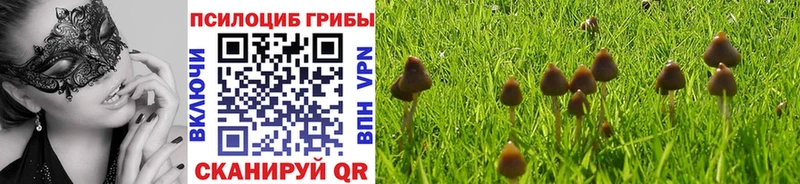Псилоцибиновые грибы GOLDEN TEACHER  хочу   Хасавюрт 